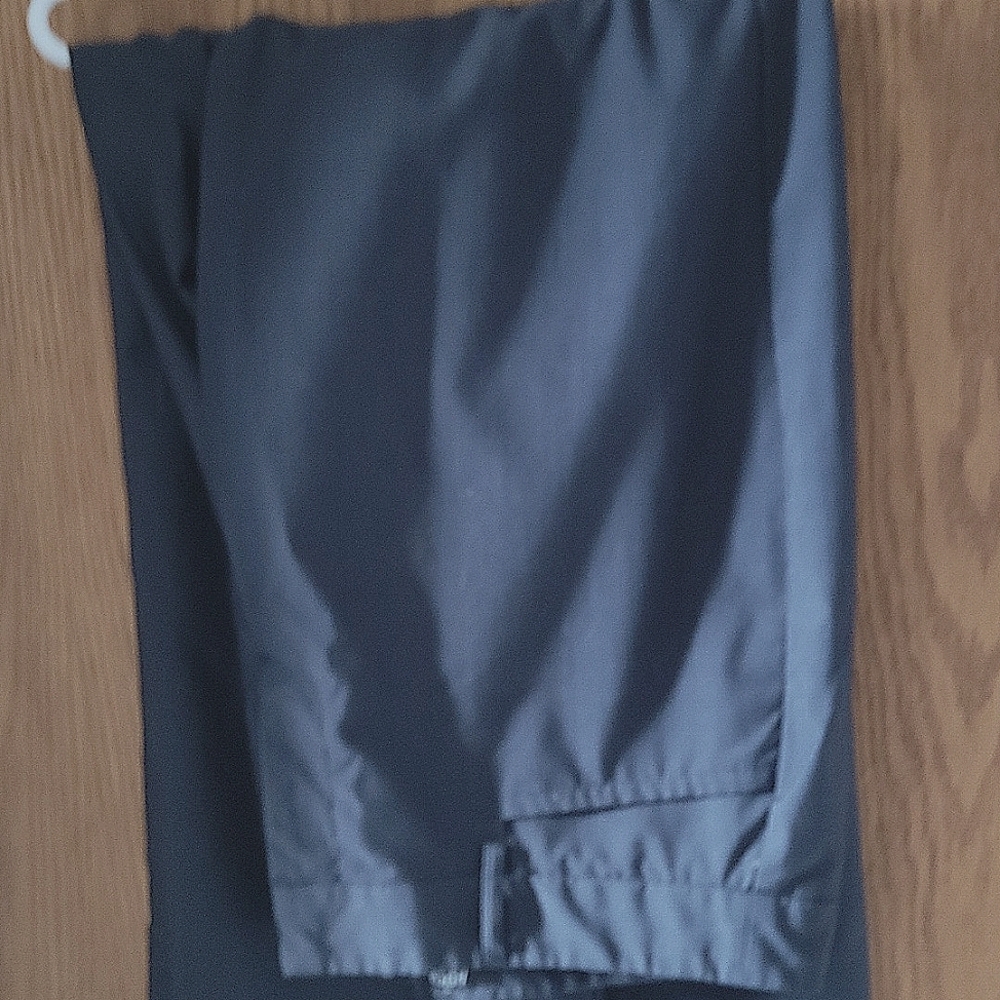 Dress pants